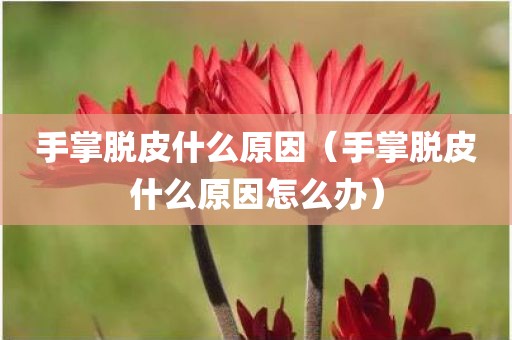 手掌脱皮什么原因（手掌脱皮什么原因怎么办）