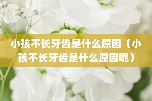 小孩不长牙齿是什么原因（小孩不长牙齿是什么原因呢）