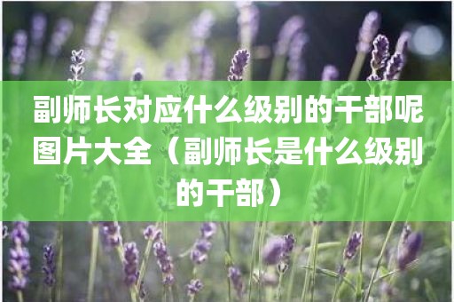 副师长对应什么级别的干部呢图片大全（副师长是什么级别的干部）
