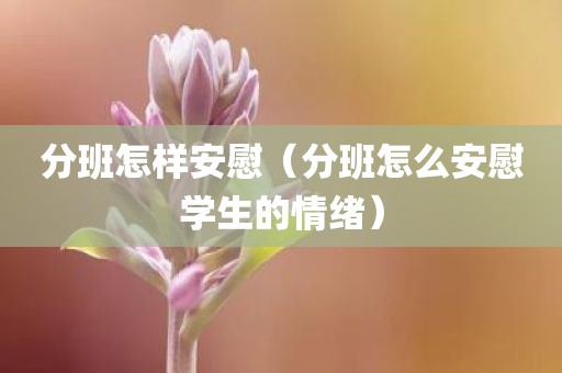 分班怎样安慰（分班怎么安慰学生的情绪）