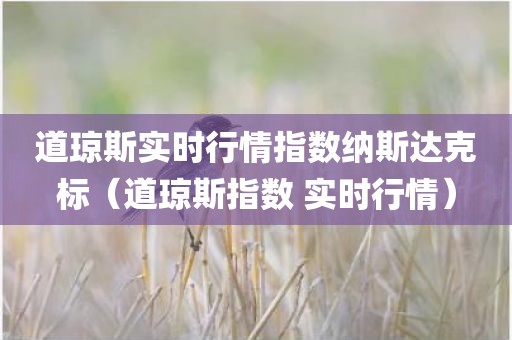 道琼斯实时行情指数纳斯达克标（道琼斯指数 实时行情）