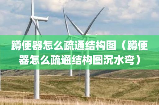 蹲便器怎么疏通结构图（蹲便器怎么疏通结构图沉水弯）