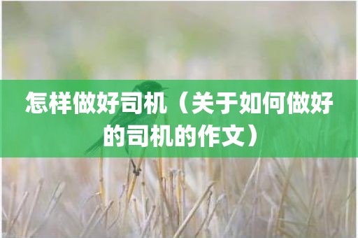 怎样做好司机（关于如何做好的司机的作文）