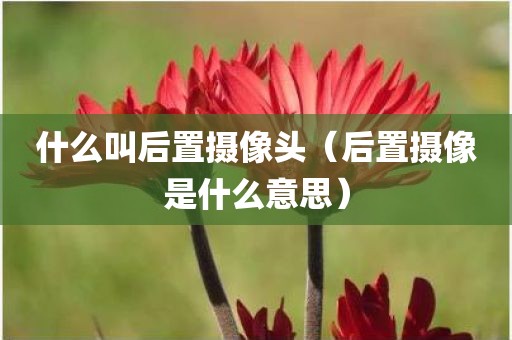 什么叫后置摄像头（后置摄像是什么意思）