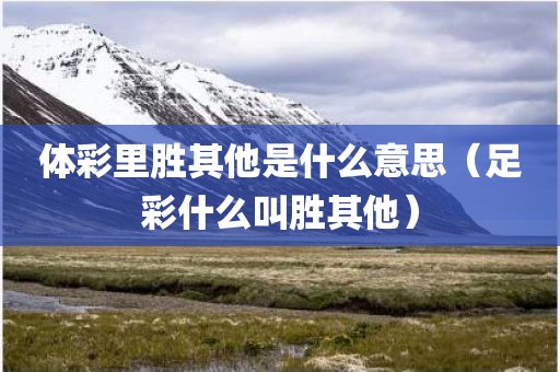 体彩里胜其他是什么意思（足彩什么叫胜其他）