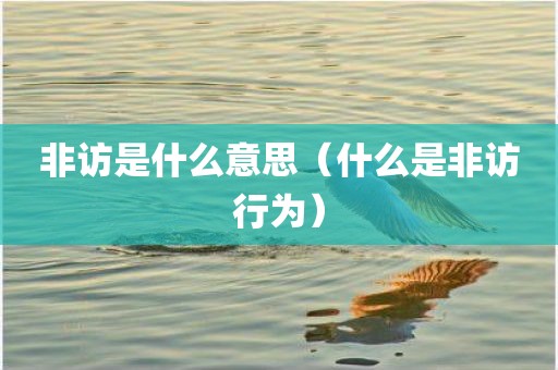 非访是什么意思（什么是非访行为）