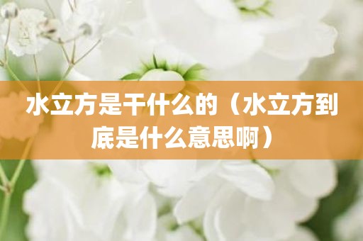 水立方是干什么的（水立方到底是什么意思啊）