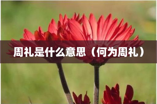 周礼是什么意思（何为周礼）