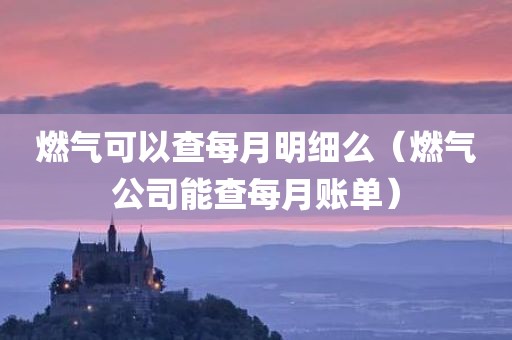 燃气可以查每月明细么（燃气公司能查每月账单）