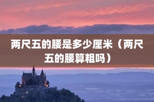 两尺五的腰是多少厘米（两尺五的腰算粗吗）