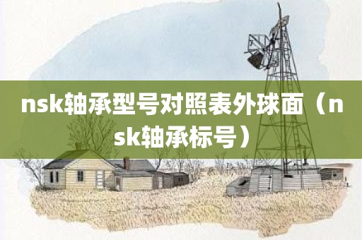 nsk轴承型号对照表外球面（nsk轴承标号）