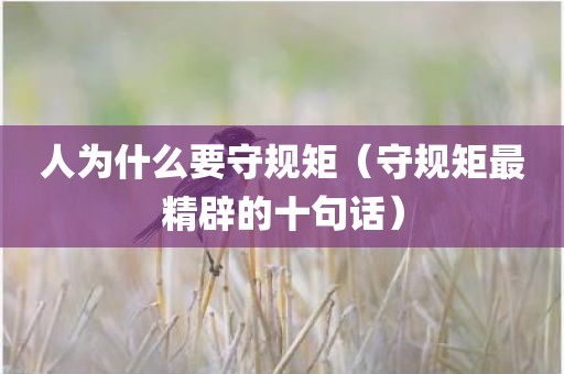 人为什么要守规矩（守规矩最精辟的十句话）