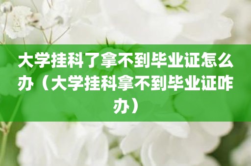 大学挂科了拿不到毕业证怎么办（大学挂科拿不到毕业证咋办）