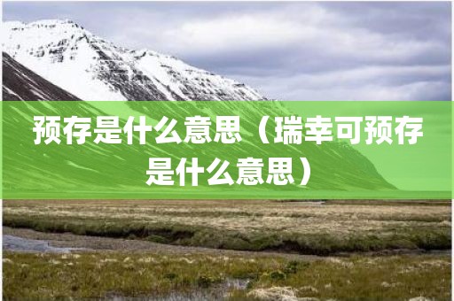 预存是什么意思（瑞幸可预存是什么意思）