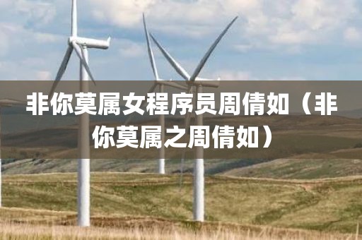 非你莫属女程序员周倩如（非你莫属之周倩如）