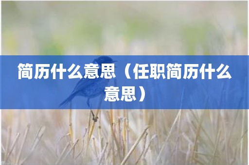 简历什么意思（任职简历什么意思）