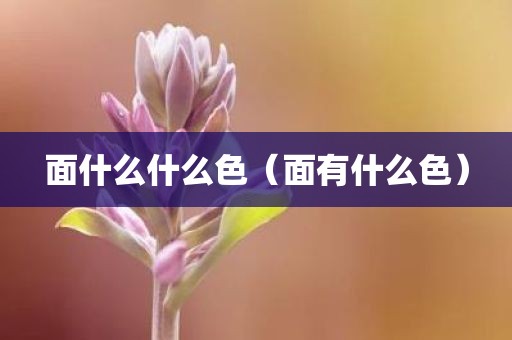 面什么什么色（面有什么色）