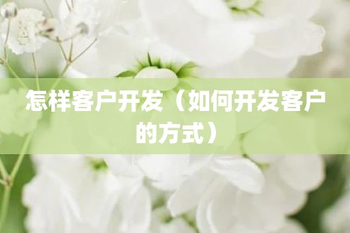 怎样客户开发（如何开发客户的方式）