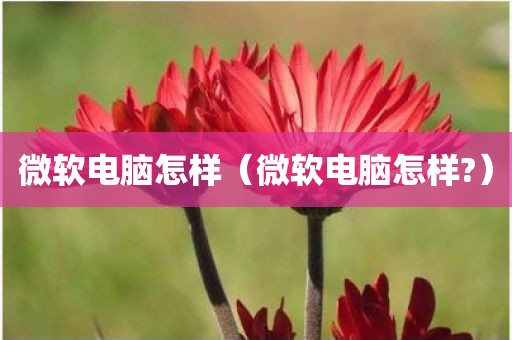 微软电脑怎样（微软电脑怎样?）