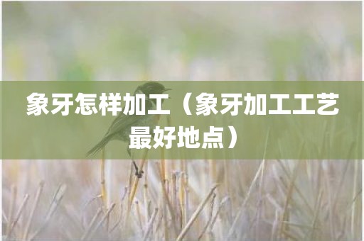 象牙怎样加工（象牙加工工艺最好地点）