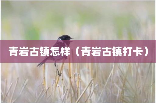 青岩古镇怎样（青岩古镇打卡）