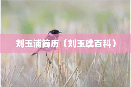 刘玉浦简历（刘玉璞百科）