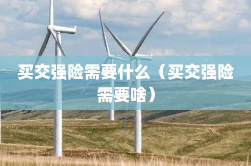 买交强险需要什么（买交强险需要啥）