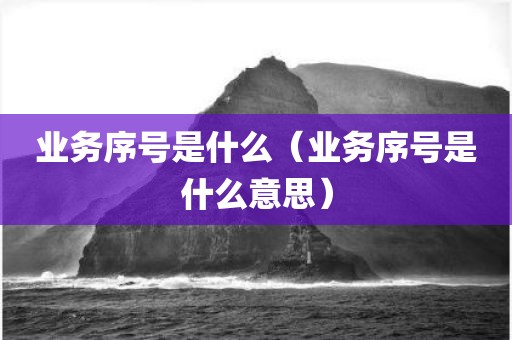 业务序号是什么（业务序号是什么意思）