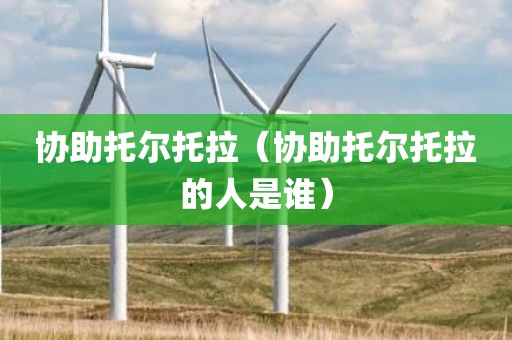 协助托尔托拉（协助托尔托拉的人是谁）