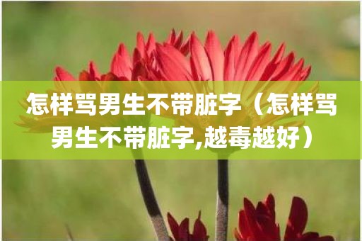 怎样骂男生不带脏字（怎样骂男生不带脏字,越毒越好）