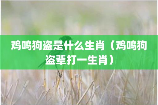 鸡呜狗盗是什么生肖（鸡呜狗盗辈打一生肖）