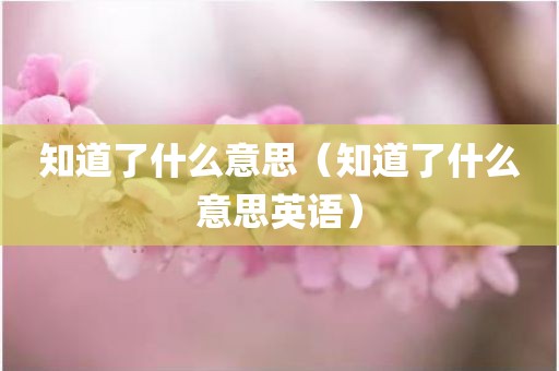 知道了什么意思（知道了什么意思英语）