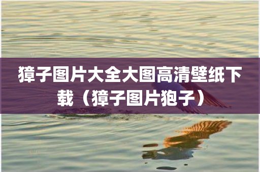獐子图片大全大图高清壁纸下载（獐子图片狍子）