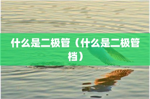 什么是二极管（什么是二极管档）