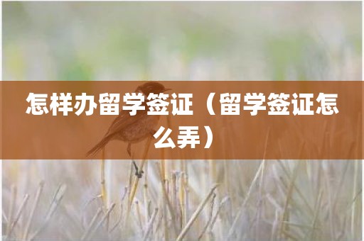 怎样办留学签证（留学签证怎么弄）