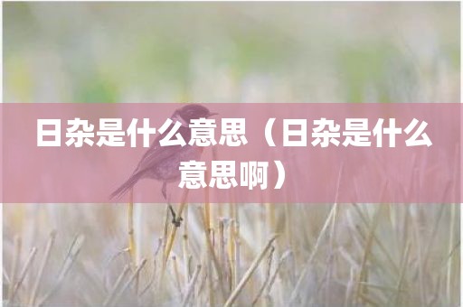 日杂是什么意思（日杂是什么意思啊）