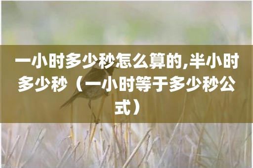 一小时多少秒怎么算的,半小时多少秒（一小时等于多少秒公式）