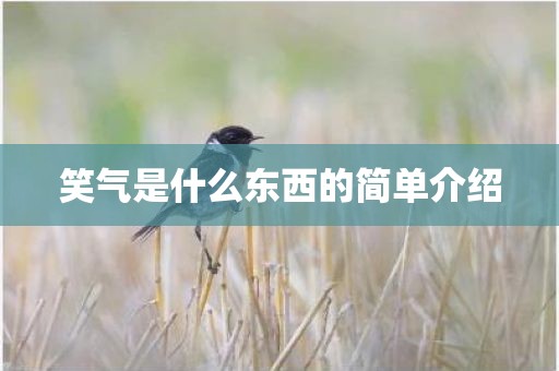 笑气是什么东西的简单介绍