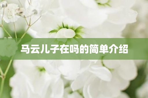 马云儿子在吗的简单介绍