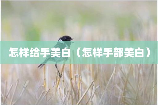 怎样给手美白（怎样手部美白）
