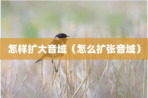 怎样扩大音域（怎么扩张音域）