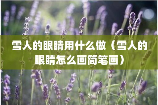 雪人的眼睛用什么做（雪人的眼睛怎么画简笔画）