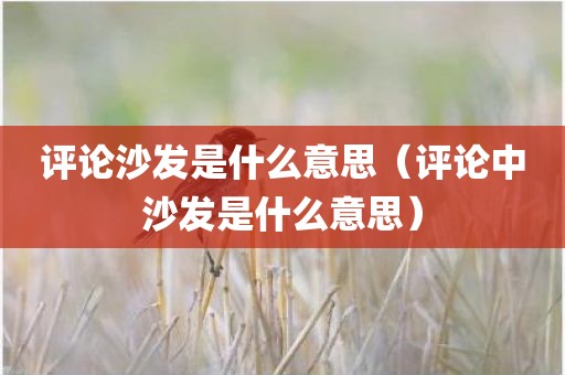 评论沙发是什么意思（评论中沙发是什么意思）