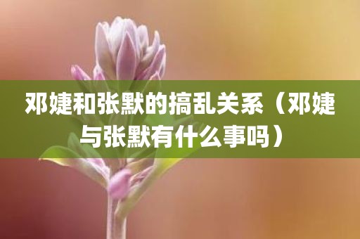 邓婕和张默的搞乱关系（邓婕与张默有什么事吗）