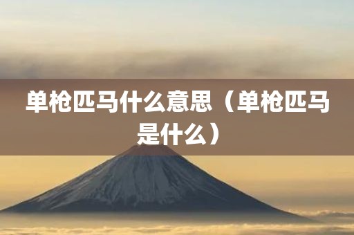 单枪匹马什么意思（单枪匹马是什么）