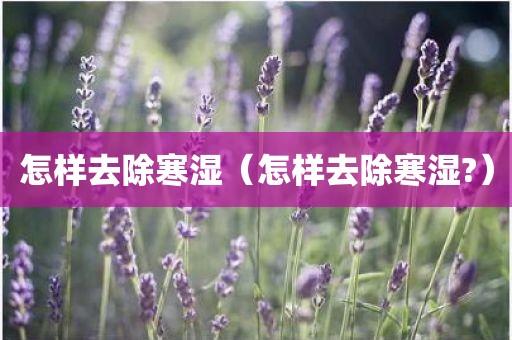 怎样去除寒湿(怎样去除寒湿?)