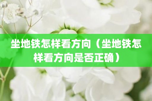 坐地铁怎样看方向（坐地铁怎样看方向是否正确）