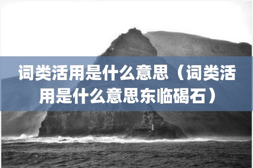 词类活用是什么意思（词类活用是什么意思东临碣石）