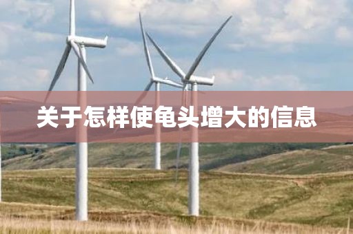 关于怎样使龟头增大的信息