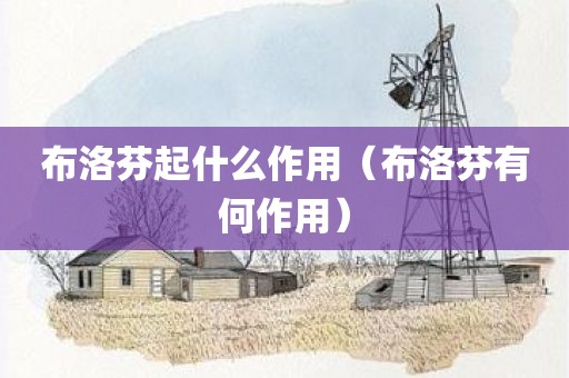 布洛芬起什么作用（布洛芬有何作用）